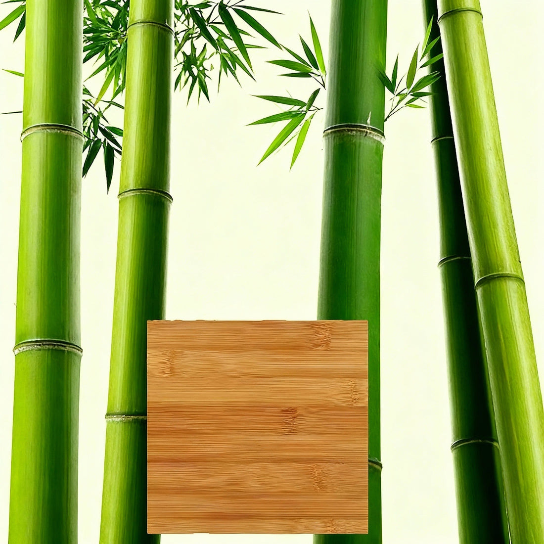 Tall Bamboo Bookshelf
