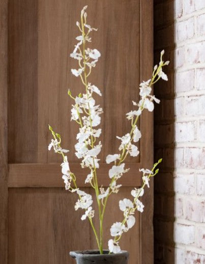 35" White Dance Orchid Stem